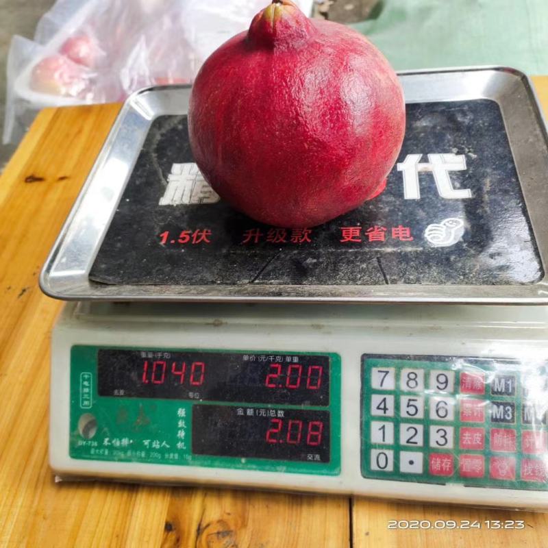 黑籽石榴品种，大果黑色石榴树苗，黑籽石榴品种，基地直供