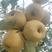 砀山酥梨，梨货源充足，销售全国各地市场，对接电商平台