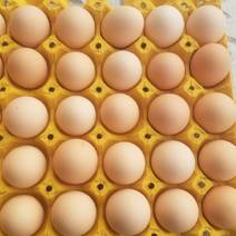 鸡蛋、河北石家庄土鸡蛋粉壳蛋鲜鸡蛋厂地直购、石家庄周边