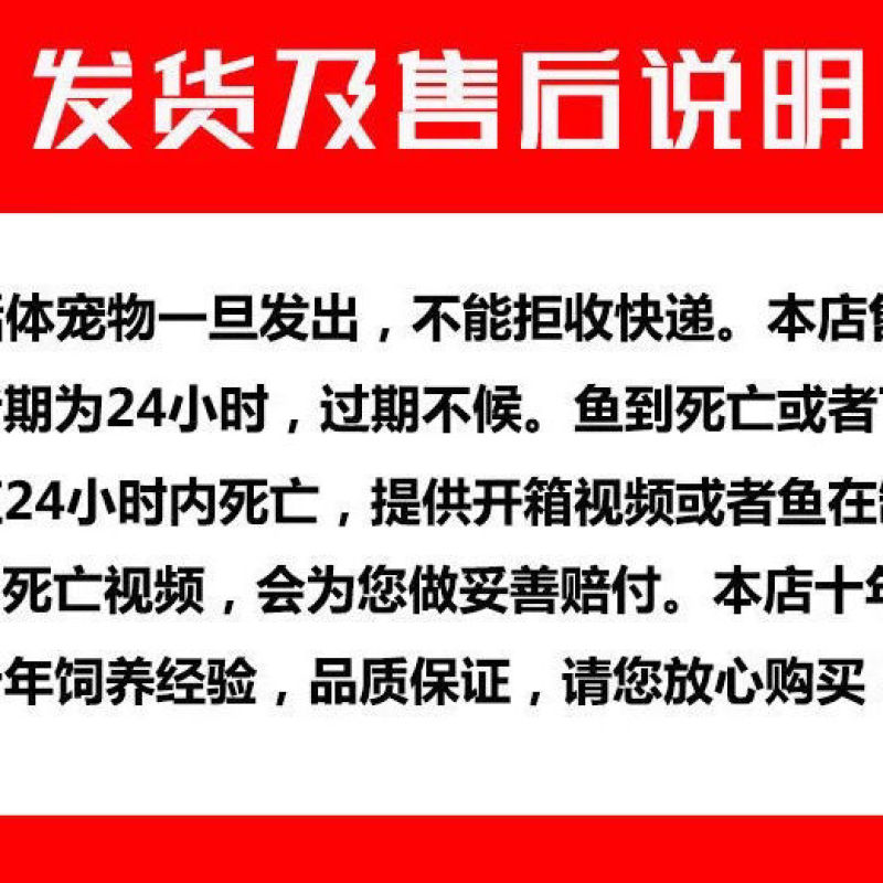 银龙鱼活体鱼苗热带观赏鱼淡水中大型风水鱼鹦鹉地图招财鱼包