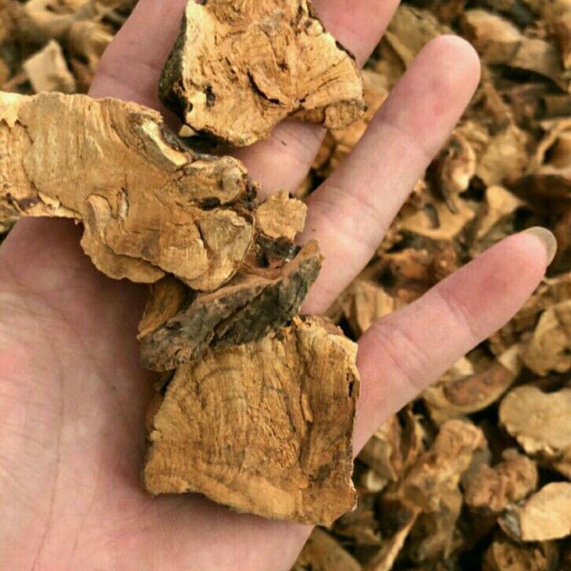 【一件代发】七里香透骨香满山香根七里香过山香