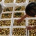 陕西冬枣大荔冬枣口感脆甜产地直供量大从优