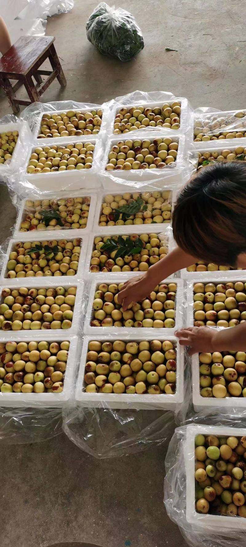 陕西冬枣大荔冬枣口感脆甜产地直供量大从优