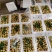 陕西冬枣大荔冬枣口感脆甜产地直供量大从优