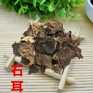 石耳石耳中药材500g干净无沙野生优质黄山岩耳岩姑石壁