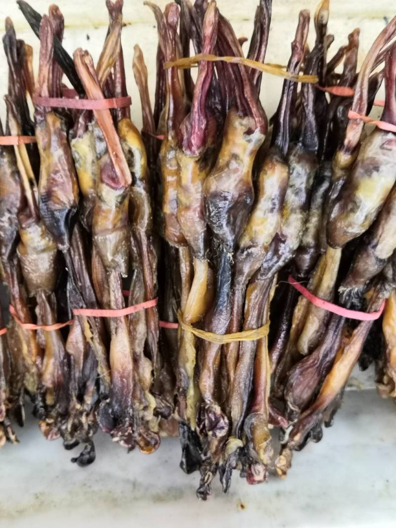 各种鞭狗鞭大全无流各种鞭大货批发中