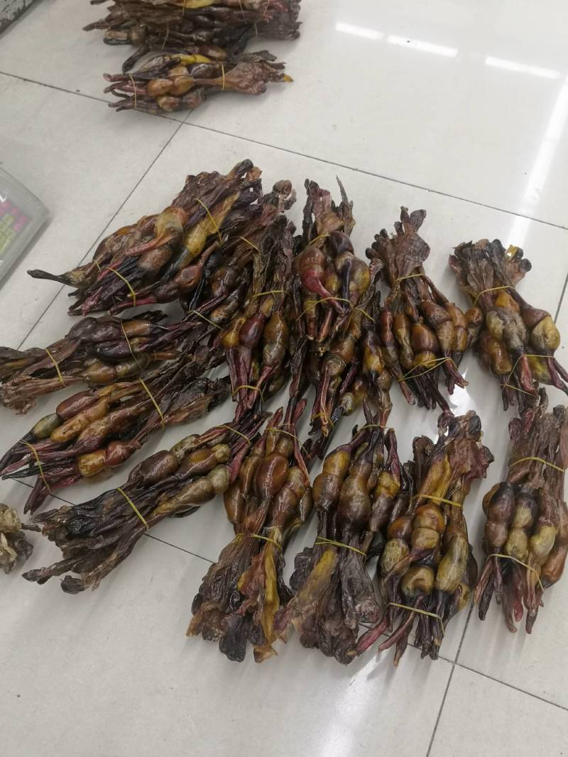 各种鞭狗鞭大全无流各种鞭大货批发中