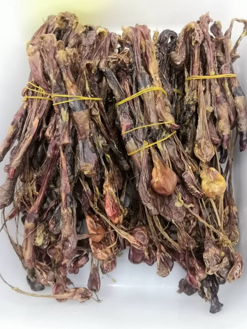 各种鞭狗鞭大全无流各种鞭大货批发中