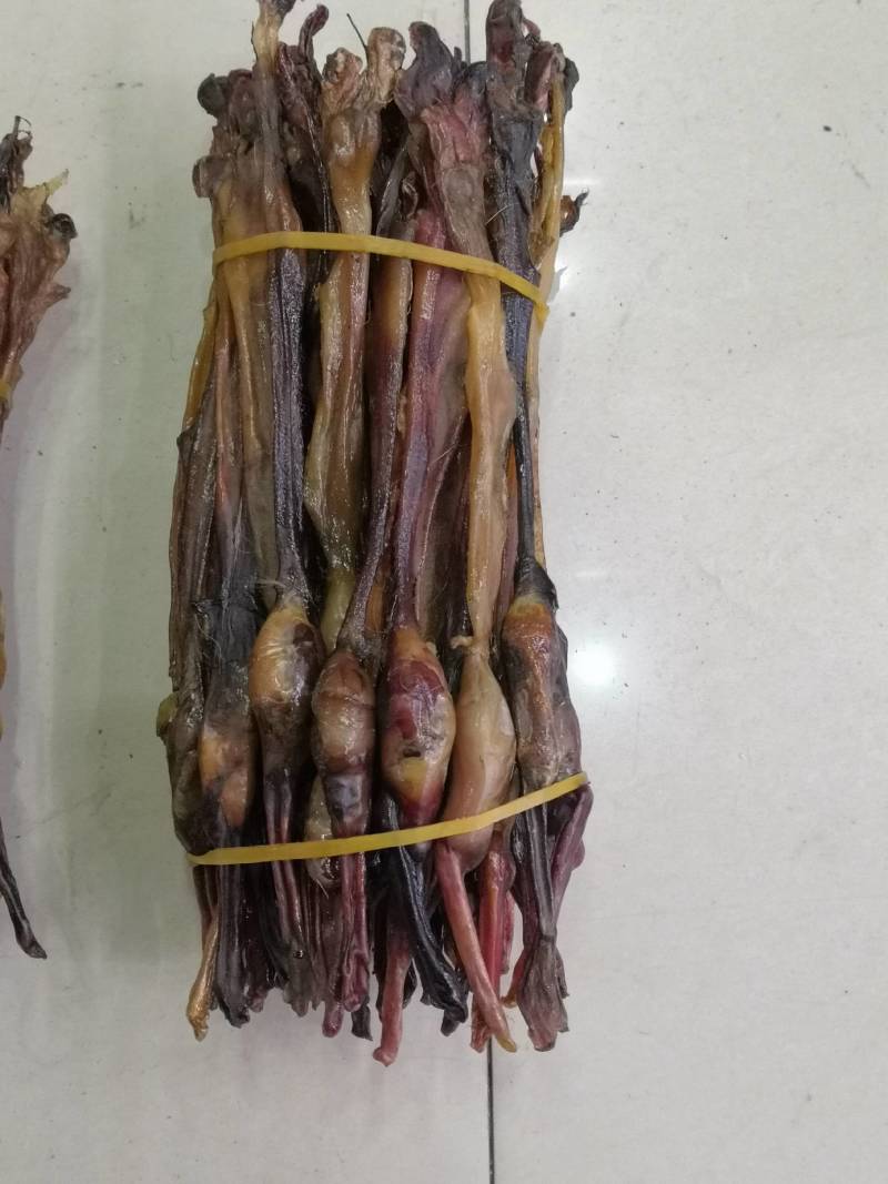 各种鞭狗鞭大全无流各种鞭大货批发中
