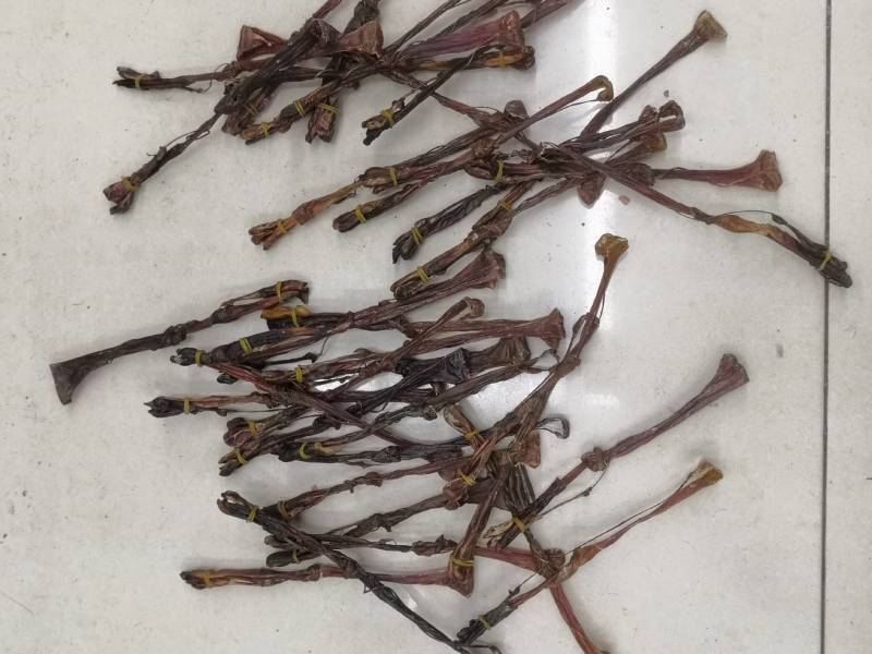 各种鞭狗鞭大全无流各种鞭大货批发中