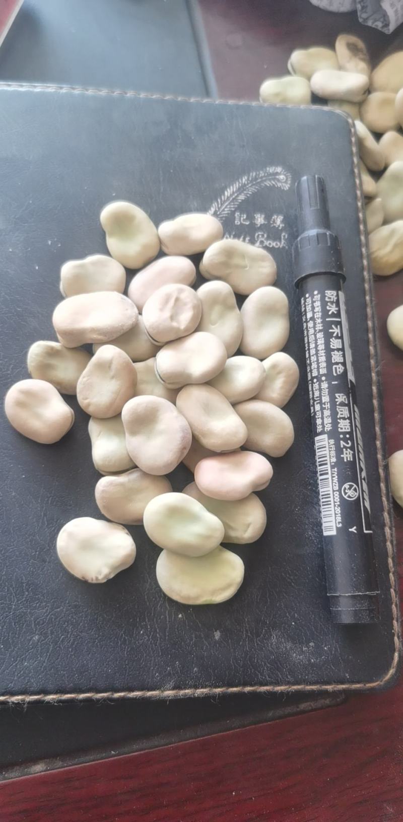 蚕豆（七星蚕豆）