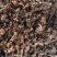 2025野生烘干榛蘑自然干榛蘑产地直供价格合理