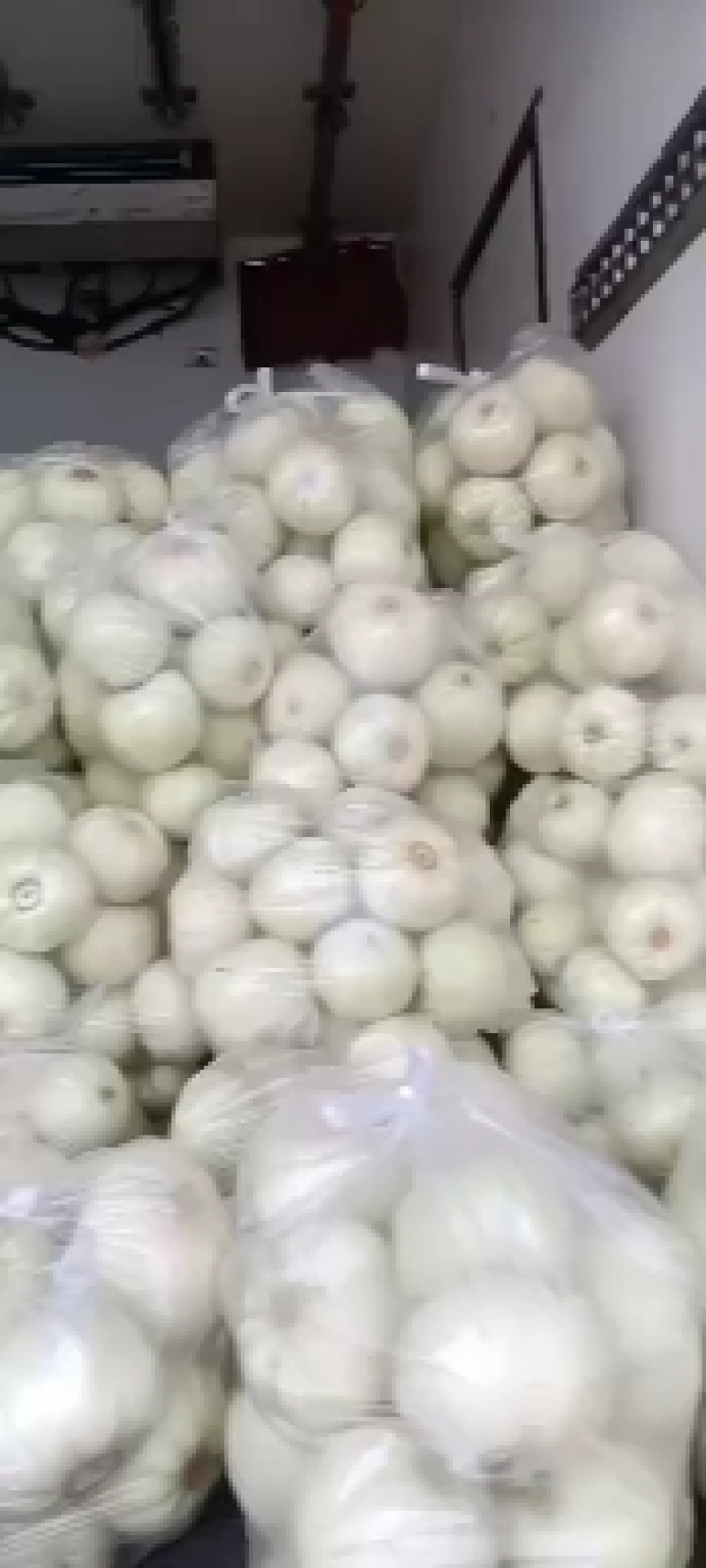 美浓甜瓜香瓜现摘现发新鲜量大从优批发电商团购便宜量大