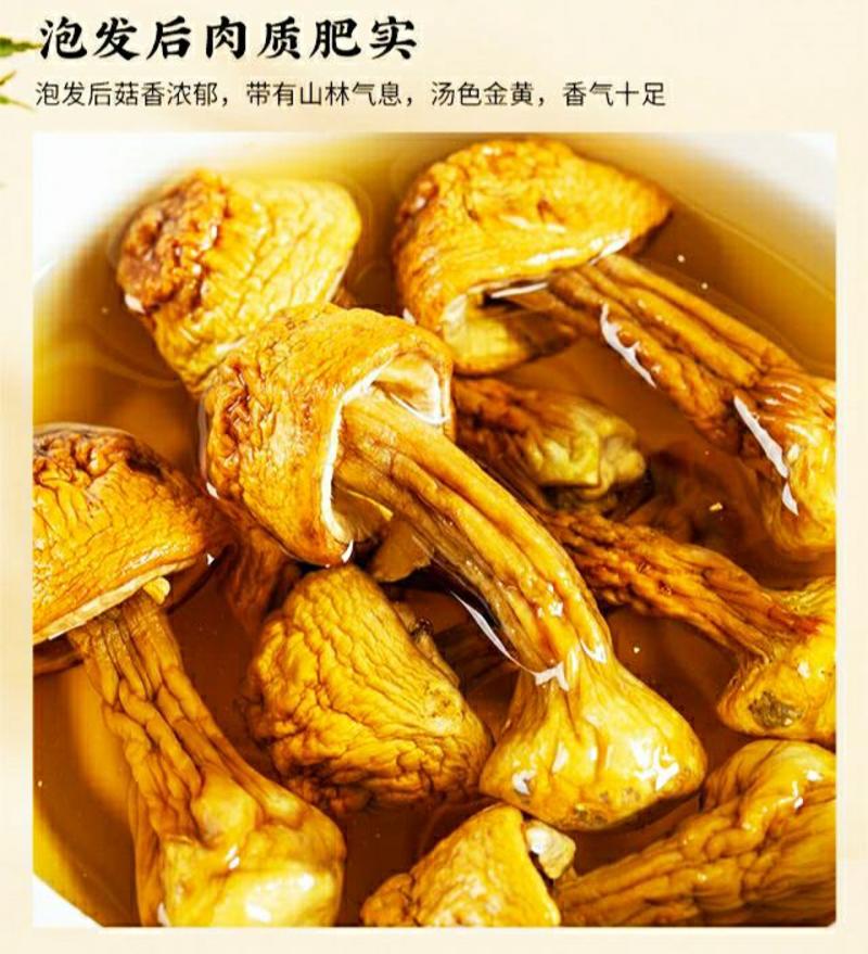 云南姬松茸云南特产松茸菇食用菌煲汤鲜香美味干货包