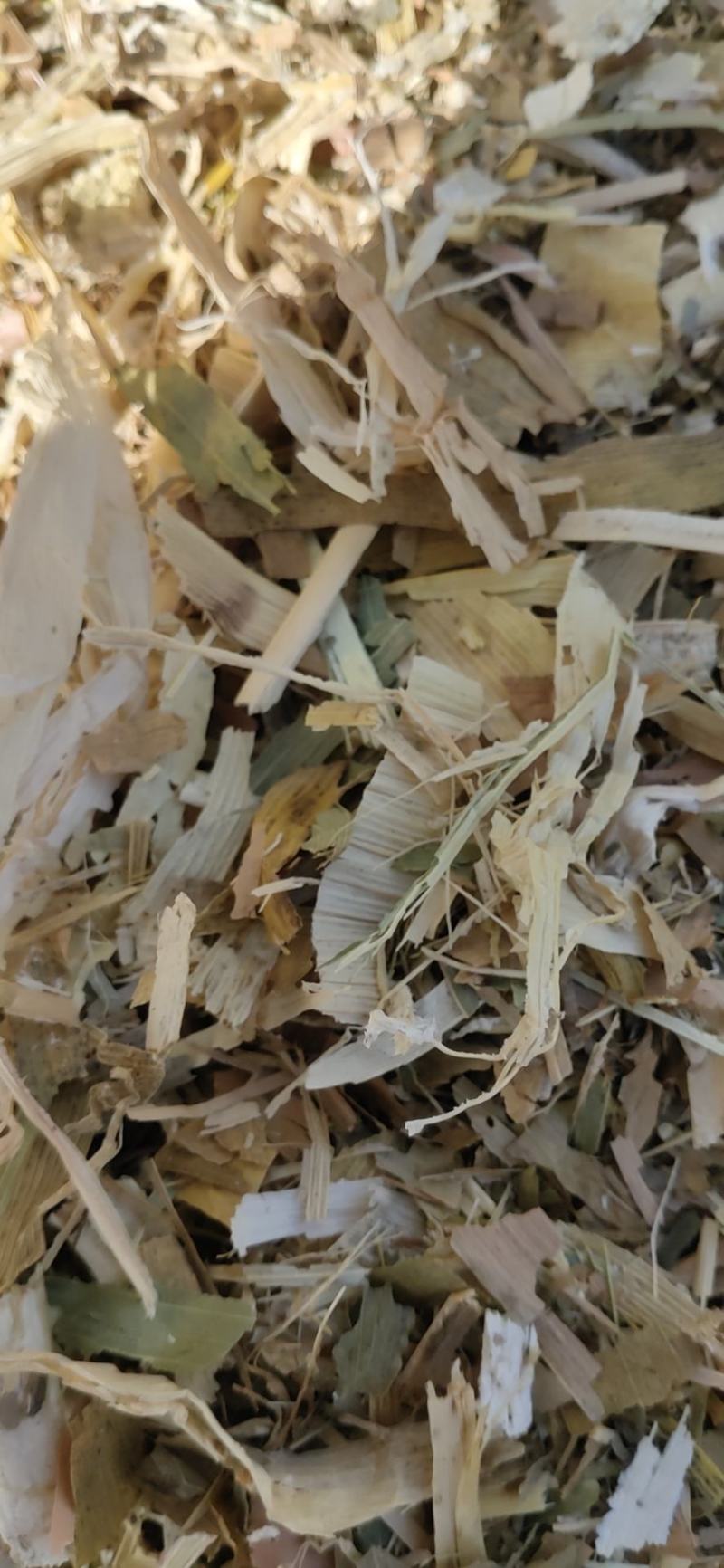 优质扎段玉米秸秆