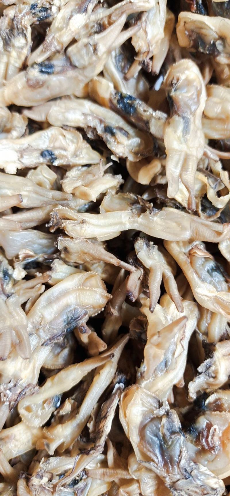 优质海蛏干大量加工中，欢迎各位老板咨询下单