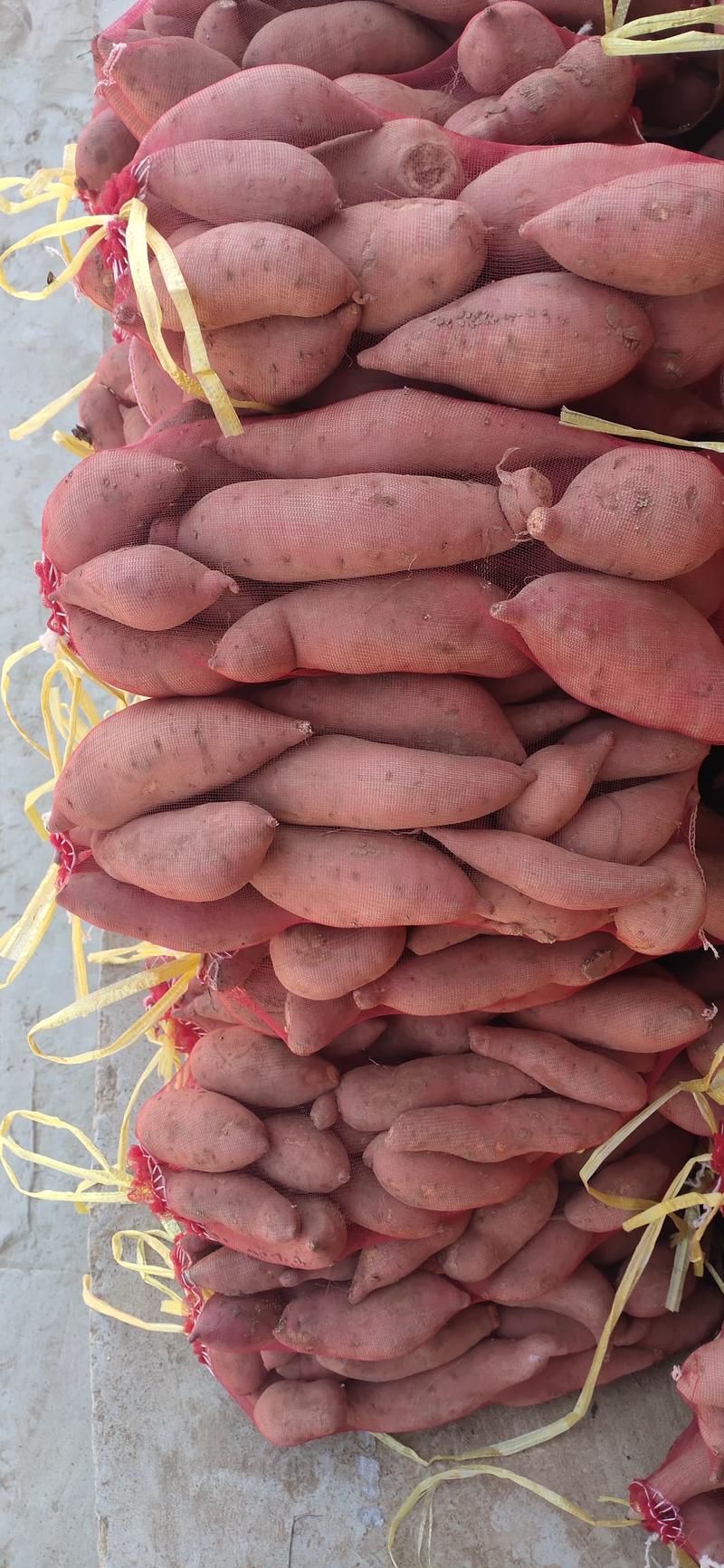 洪洞旱地红薯大量上市，物美价廉，保证质量