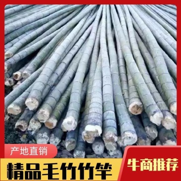 毛竹竹竿6寸到12寸供应.菜架大棚.冬枣大棚.西瓜大棚