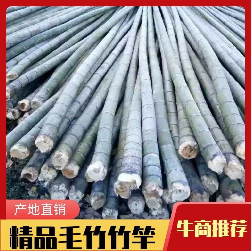 毛竹竹竿6寸到12寸供应.菜架大棚.冬枣大棚.西瓜大棚