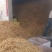 宁夏盐池优质大白条黄花菜干货，口感香甜鲜嫩肉厚