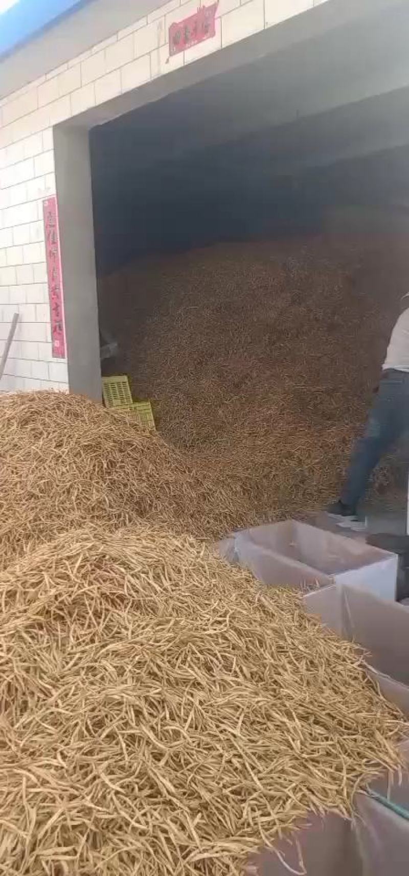 宁夏盐池优质大白条黄花菜干货，口感香甜鲜嫩肉厚
