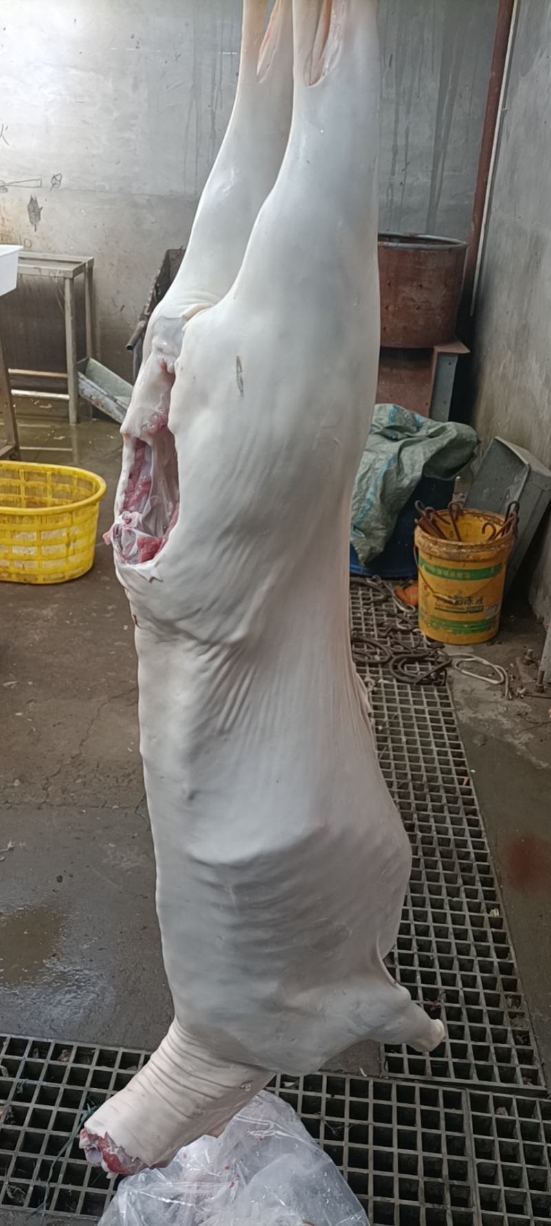 带皮羊白条