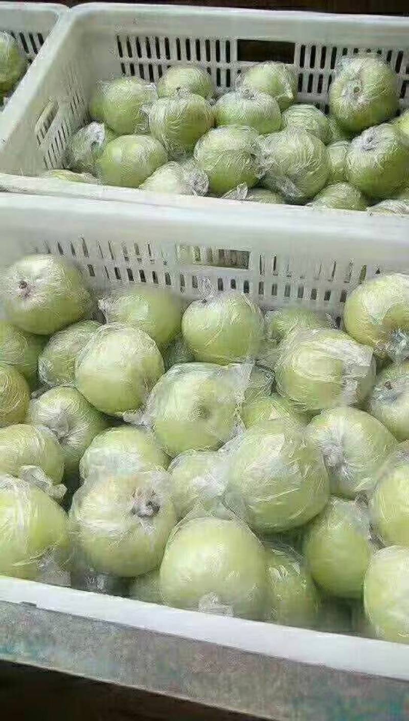 山东省沂水金帅苹果大量供应，质量非常好需要的联系。
