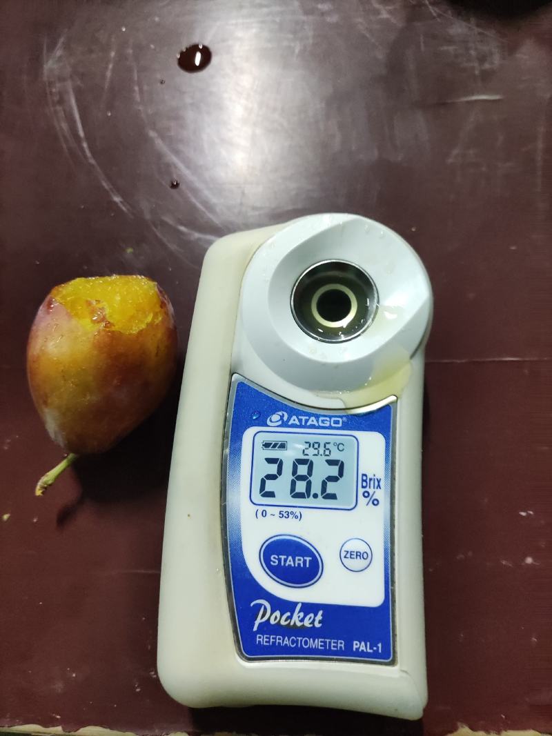 新疆喀什法兰西西梅配一件代发，落地配，整车全国可发