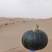 【推荐热销产品】沙漠贝贝南瓜，口感粉糯香甜种植在沙漠边上