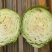 昔阳县圆包菜