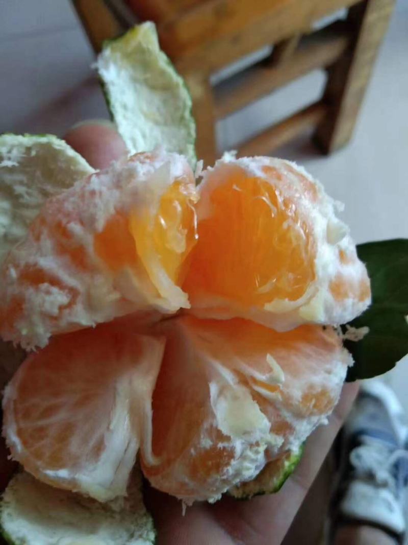 湖北电商特早柑橘宜昌特早蜜橘蜜橘早熟蜜橘，质量很好