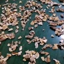 厚朴香菇小碎片