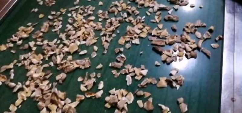 厚朴香菇小碎片