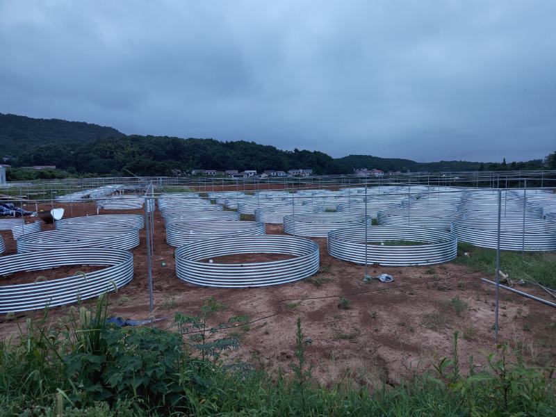 圆形帆布鱼池镀锌板支架高密度养殖池养鱼帆布水池