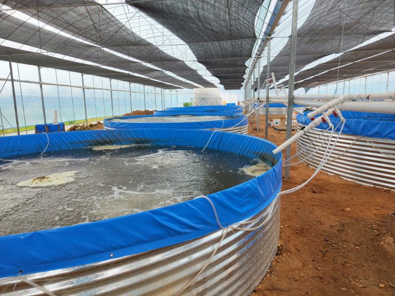 圆形铁桶镀锌板帆布鱼池水产养殖帆布水池高密度养鱼帆布