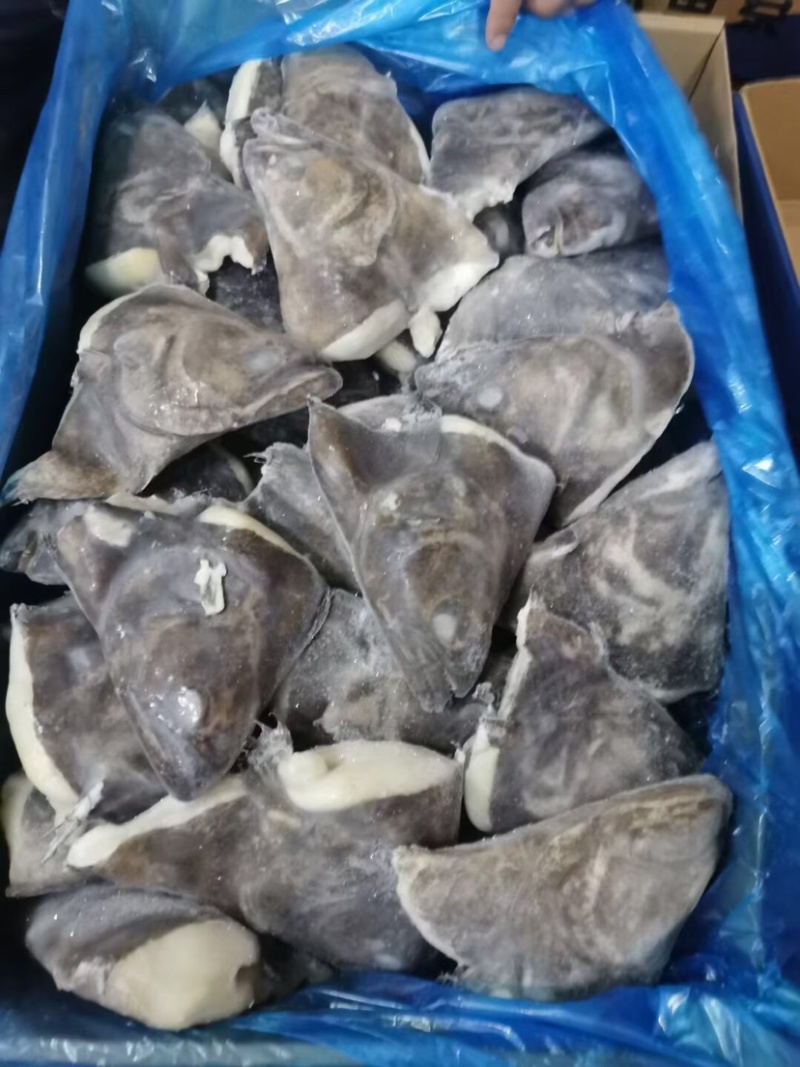 深海蝶鱼头鸦片鱼头海鱼头带保护冰鲽鱼头比目鱼鱼头鸦片鱼