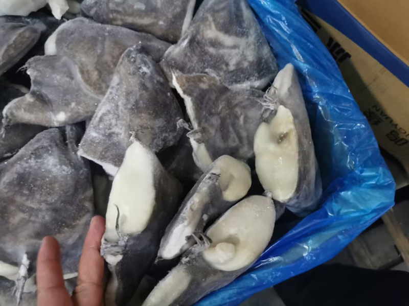 深海蝶鱼头鸦片鱼头海鱼头带保护冰鲽鱼头比目鱼鱼头鸦片鱼