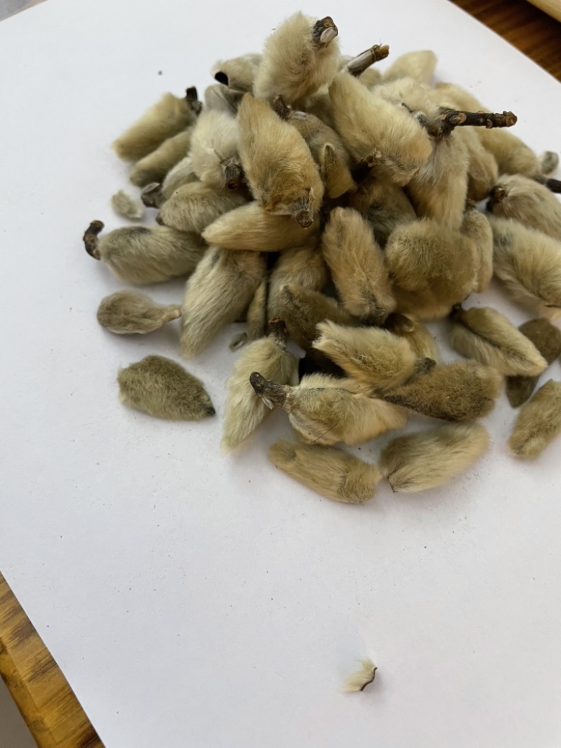 辛夷花、无硫辛夷花、散装干货、质量保证。