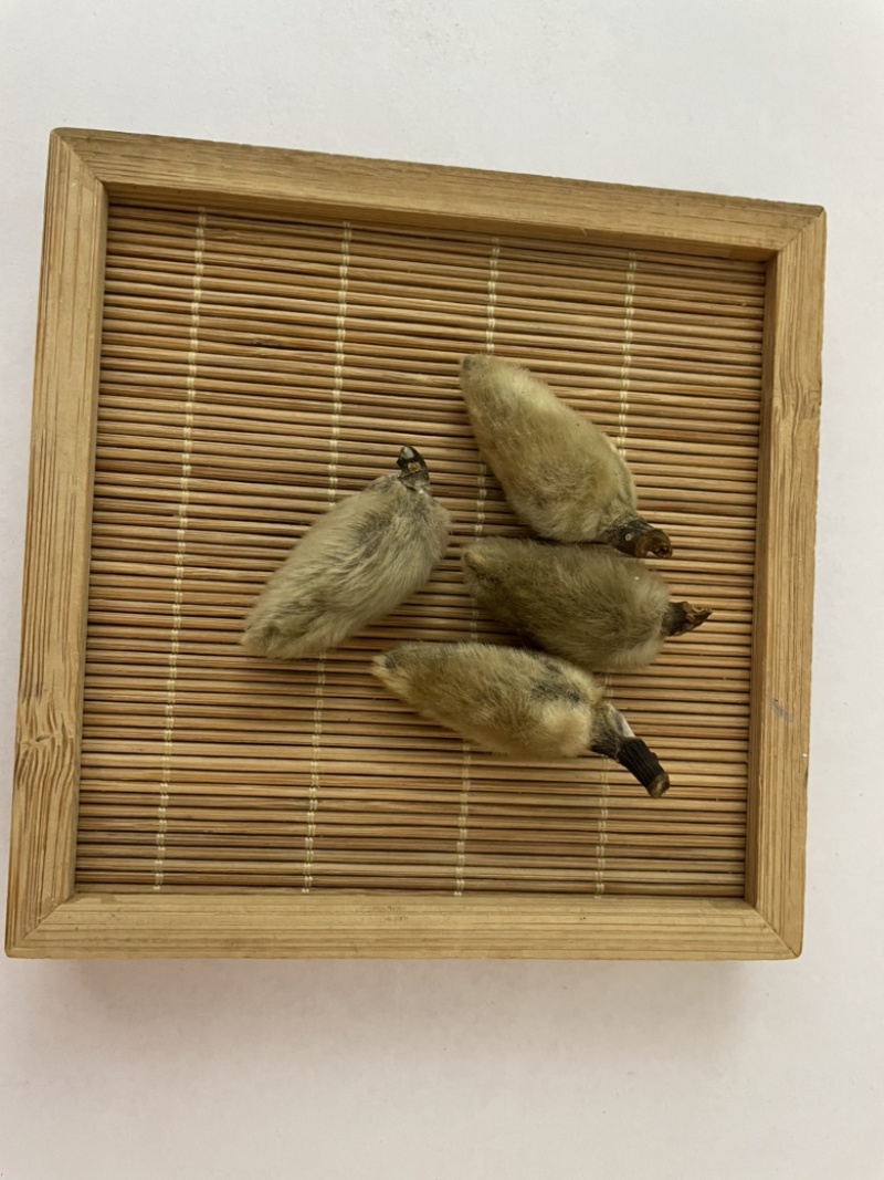 辛夷花、无硫辛夷花、散装干货、质量保证。