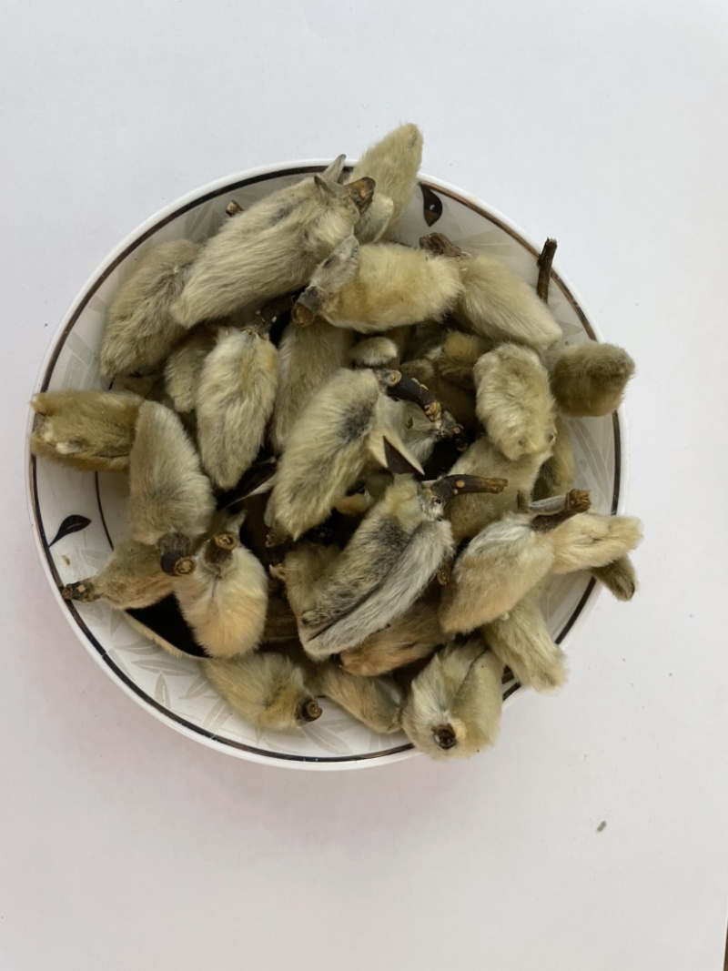 辛夷花、无硫辛夷花、散装干货、质量保证。
