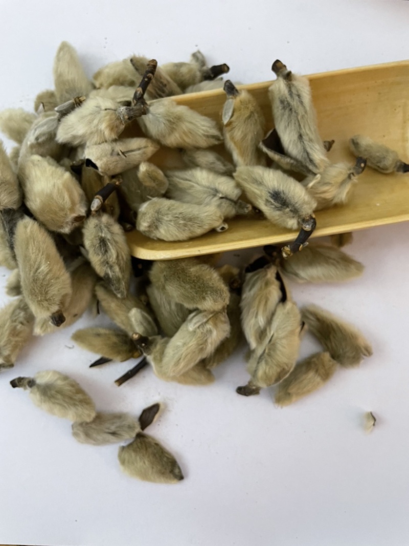 辛夷花、无硫辛夷花、散装干货、质量保证。