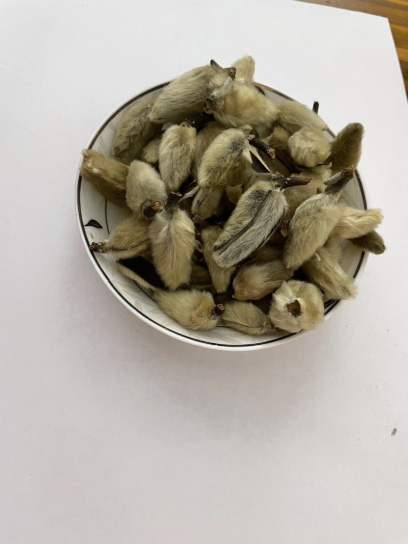 辛夷花、无硫辛夷花、散装干货、质量保证。