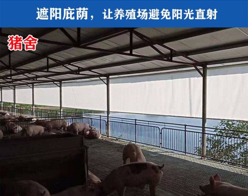 猪场卷帘布防水防晒防寒保暖畜牧养殖场卷帘布定做