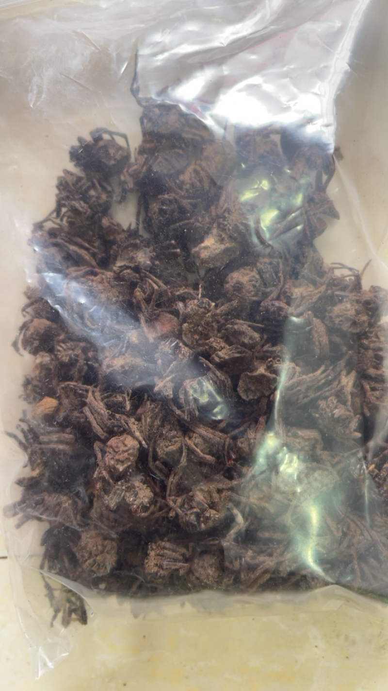 黑蜘蛛蜘蛛干货中药材黑蜘蛛批发包邮100g起