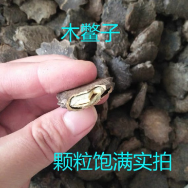 中药材木鳖子木别子干净无杂货品质量保证