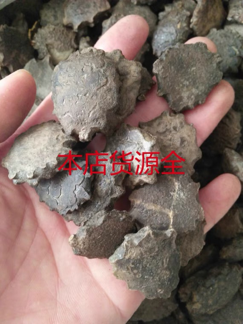 中药材木鳖子木别子干净无杂货品质量保证