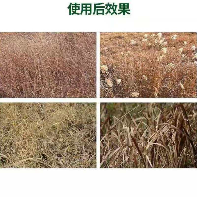 斩刀甲嘧磺隆荒地工厂铁路专用除草剂杂草一扫光烂根除草剂
