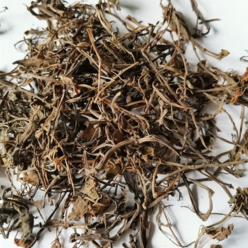 中药材石蝉草货品质量保证批发各种中药材