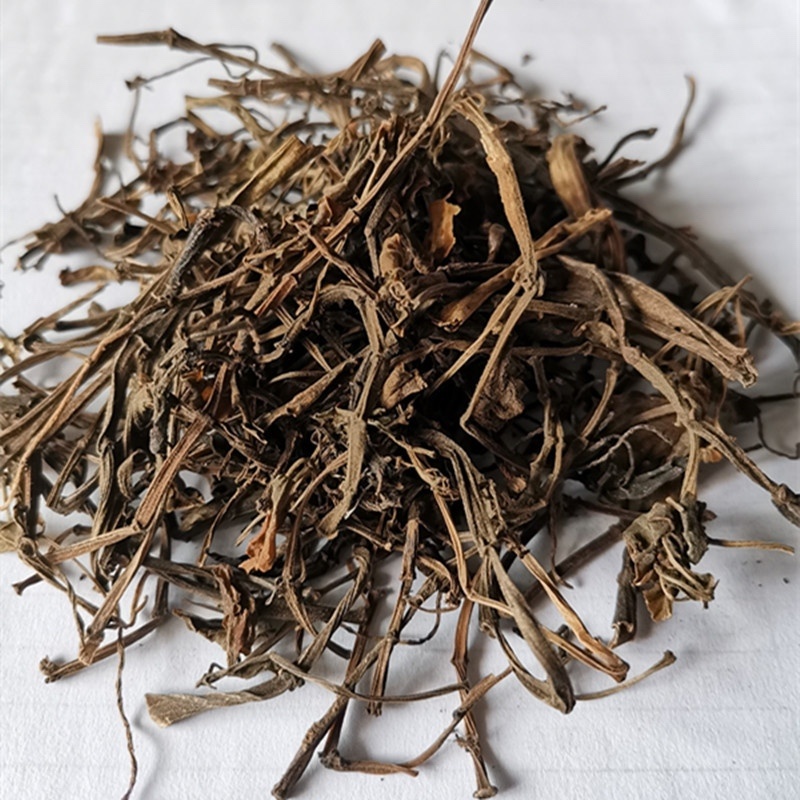 中药材石蝉草货品质量保证批发各种中药材