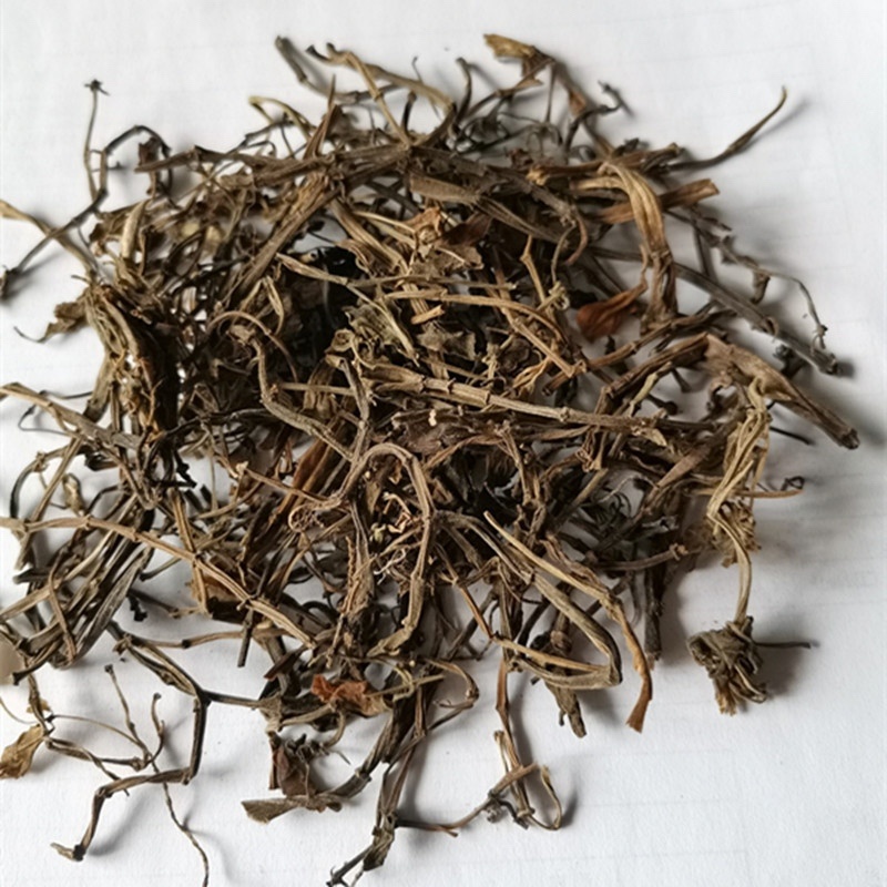 中药材石蝉草货品质量保证批发各种中药材